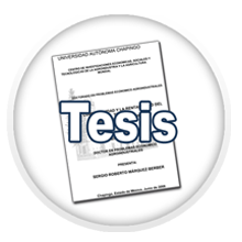 tesis