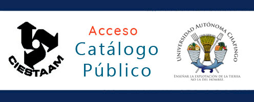 catalogo en línea